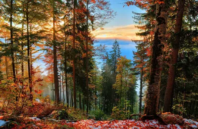 Осенний пейзаж божественной красоты - вид с вершины горы. Отличные  качественные обои для фона на рабочий стол.