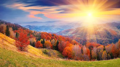 Золотая осень пейзаж - 57 фото
