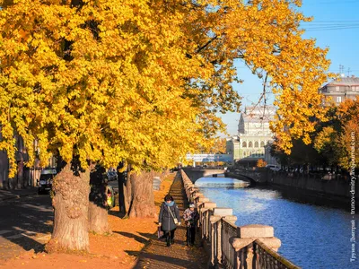 Осенний Петербург - очей очарованье