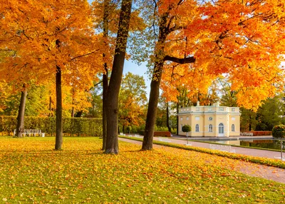 Осенний Петербург (фото)