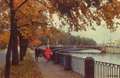 Осенний Петербург» картина Козловской Марины маслом на холсте — купить на  ArtNow.ru