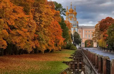 Осенний Санкт-Петербург (часть II) — DRIVE2