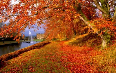 Осень красивая природа - 80 фото