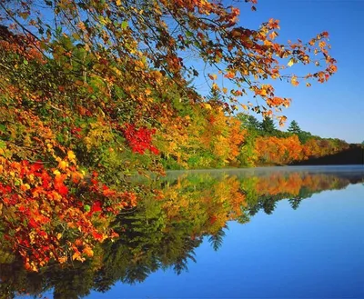 Осенняя красота - фото и картинки: 60 штук