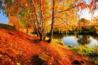 Картинки природы осень - фото и картинки: 69 штук