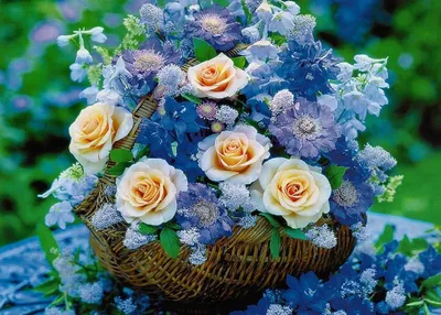 Красивые цветы розы с днем рождения - 78 фото