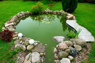 Красивый водоем в саду: выбор места для водоема, из какого материала делать  водоем на даче