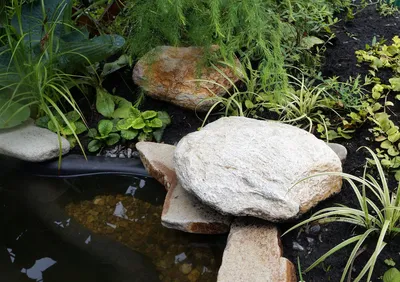 Как установить и оформить пластиковый пруд в саду. Выбор чаши, декор и  озеленение, личный опыт. Фото — Ботаничка