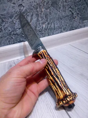 Ножи, которые я использую на охоте | Охотник выходного дня | Пульс Mail.ru