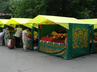 Торговая палатка для Ярмарки «ДОМИК», ТОРГОВЫЕ ПАЛАТКИ, стоимость, купить,  каталог