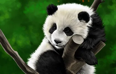 Симпатичная панда, едящая вектор листьев, иллюстрирующий рисунок - стоковый  вектор 921295 | Crushpixel
