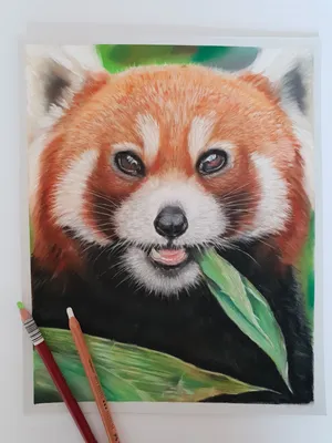Рисунок панды Наклейка на стену любовь, панда, сердце, настенная живопись,  для гостиной, спальни, Современное украшение, детские наклейки постер для  детской комнаты - купить по выгодной цене | AliExpress