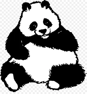 Черно-белый рисунок милой панды в солнечных очках 4K загрузка обоев
