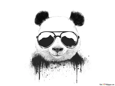Панда рисунок - 69 фото