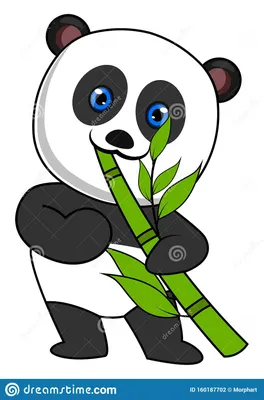 Панда ест бамбук, рисунок, вектор Иллюстрация вектора - иллюстрации  насчитывающей листья, природа: 160187702
