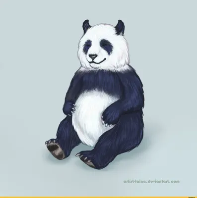 Обои панда, рисунок, черный, белый картинки на рабочий стол, фото скачать  бесплатно
