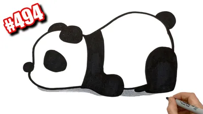 Рисованная панда PNG рисунок, картинки и пнг прозрачный для бесплатной  загрузки | Pngtree