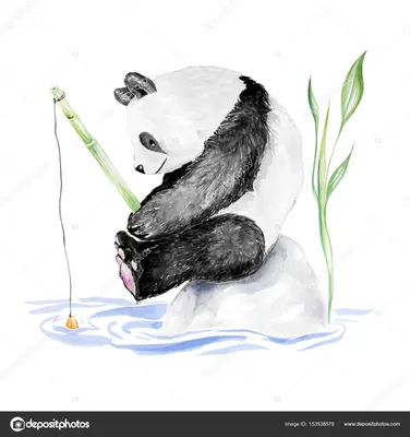 Черно-белая панда в черно-белом лесу | Пикабу