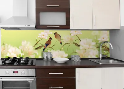 Кухонный фартук Птицы (Пташки) (полноцветная фотопечать наклейка на  стеновую панель для кухни) 600*2500 мм: продажа, цена в Киеве. Интерьерные  наклейки от \"GRAND ― товары для дома (наклейки, 3Д-панели, фильтры для  воды)\" - 864924255