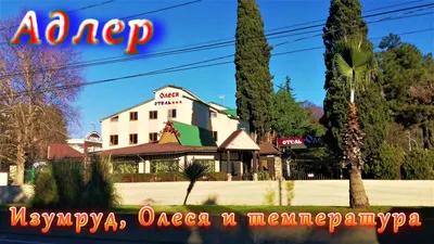 Изумруд, Олеся и температура в Адлере — смотреть онлайн видео, бесплатно!