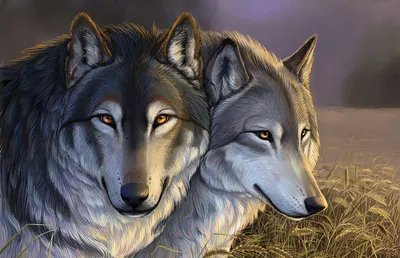 Картинки волк семейная пара Животные