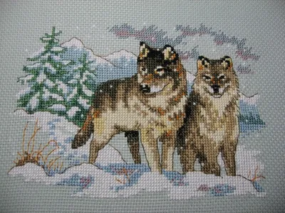 Пара волков играют в снегу