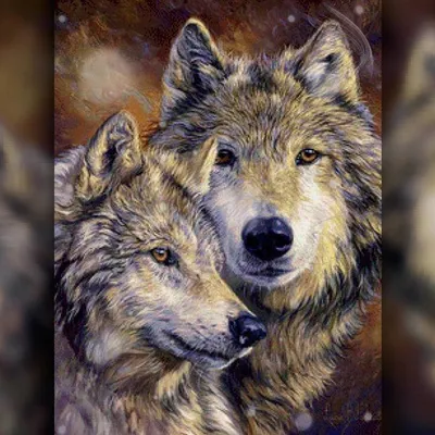 Красивая волчица | Смотреть 40 фото бесплатно