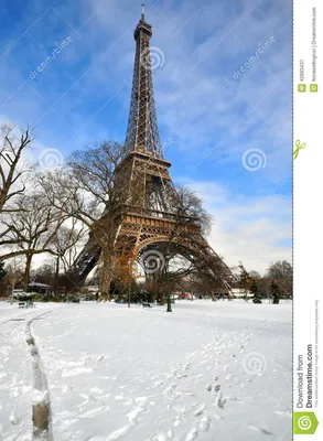 зима paris стоковое изображение. изображение насчитывающей январь - 42893437
