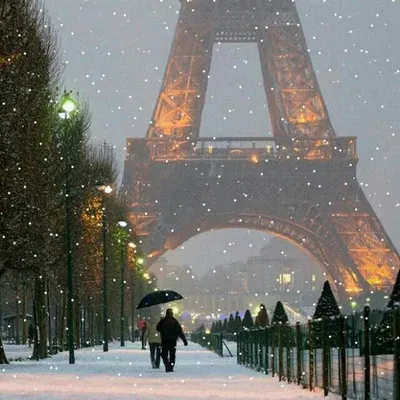 Париж зима фото
