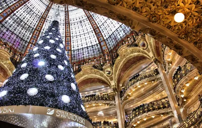 Обои Франция, Париж, Новый год, новогодняя елка, Galeries Lafayette,  Swarovski картинки на рабочий стол, раздел новый год - скачать