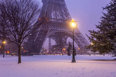 Зима в Париже - 45 фото