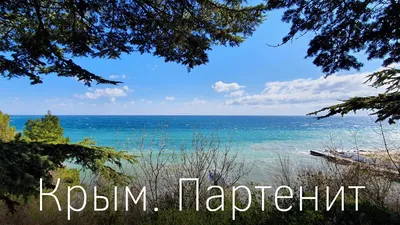 Crimea. Partenit: beaches, restaurants, the park of the Crimea and  Aivazovsky. Crimean cats - YouTube