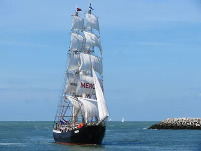 Фото парусник, корвет, море, рисунок, обои, корабли и лодки - бесплатные  картинки на Fonwall