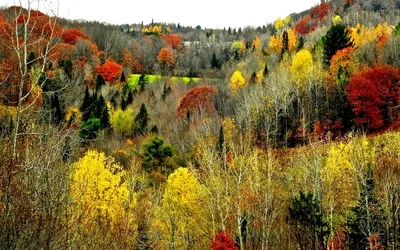 Картинка Осенний пейзаж » Осень картинки скачать бесплатно (276 фото) -  Картинки 24 » Картинки 24 - скачать картинки бесплатно