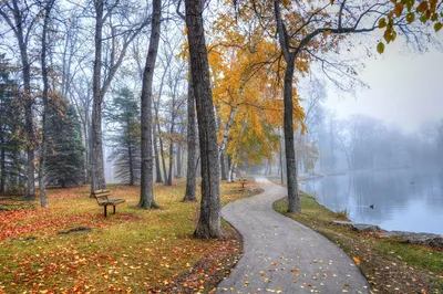 Осенний пейзаж в парке - 71 фото