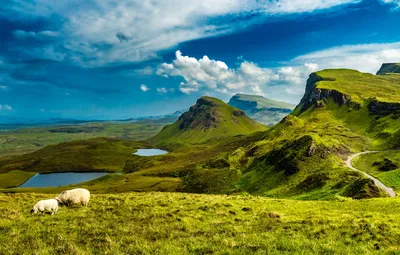 Обои пейзаж, горы, природа, остров, овцы, Шотландия, луга, озёра, Скай  картинки на рабочий стол, раздел пейзажи - скачать
