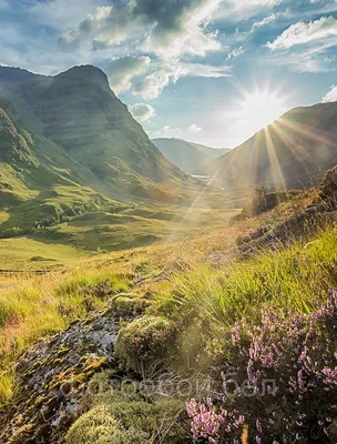 Природа Шотландии: невероятная зелень, горы, озера | Обои для телефона