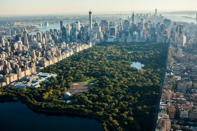 Центральный парк (Нью-Йорк) — Википедия