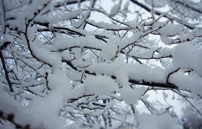 Обои снег, атмосфера, облако, свет, синий для iPhone 6S+/7+/8+ бесплатно,  заставка 1080x1920 - скачать картинки и фото