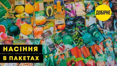 Перец \"Геракл\" ТМ \"GL SEEDS\" 0.25г купить почтой в Одессе, Киеве, Украине |  Agro-Market