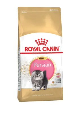 Зоопровизия: Royal Canin Персы котята