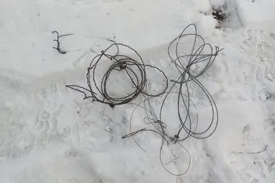 С появлением снега на Хортице активизировались браконьеры, которые  устанавливают петли для животных – SkyNewsZP