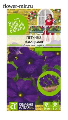 Семена Петуния многоцветковая Альдерман, 0,05 г Плазмас - купить в Москве,  цены на СберМегаМаркет