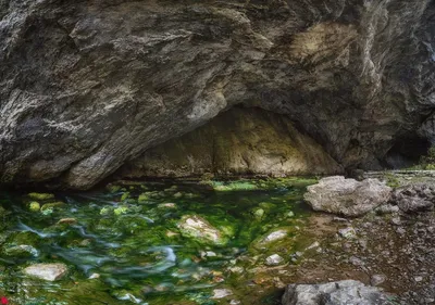 Капова пещера (Шульган-Таш): описание, как добраться, фото — Наш Урал и  весь мир