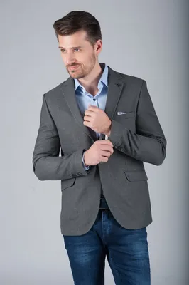 Мужской пиджак под джинсы серого цвета. Арт.:2-268-1 – купить в магазине  мужской одежды Smartcasuals