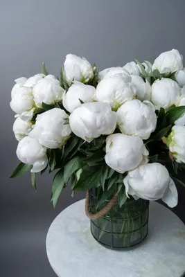 Белые пионы | Piones flowers, Pretty flowers, Flowers bouquet