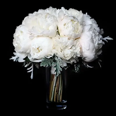 Букет невесты из 15 белых пионов | Бесплатная доставка цветов по Москве
