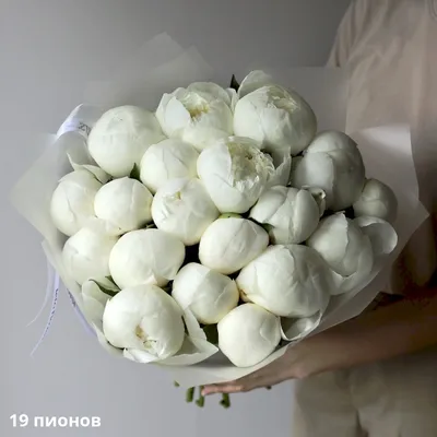 Букет невесты из белых гортензий и пионов | Бесплатная доставка цветов по  Москве
