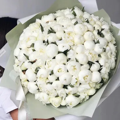 101 белый пион в букете | Бесплатная доставка цветов по Москве