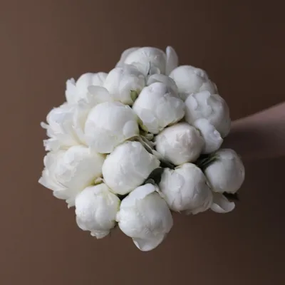 Букет невесты из белых пионов - заказать доставку цветов в Москве от Leto  Flowers